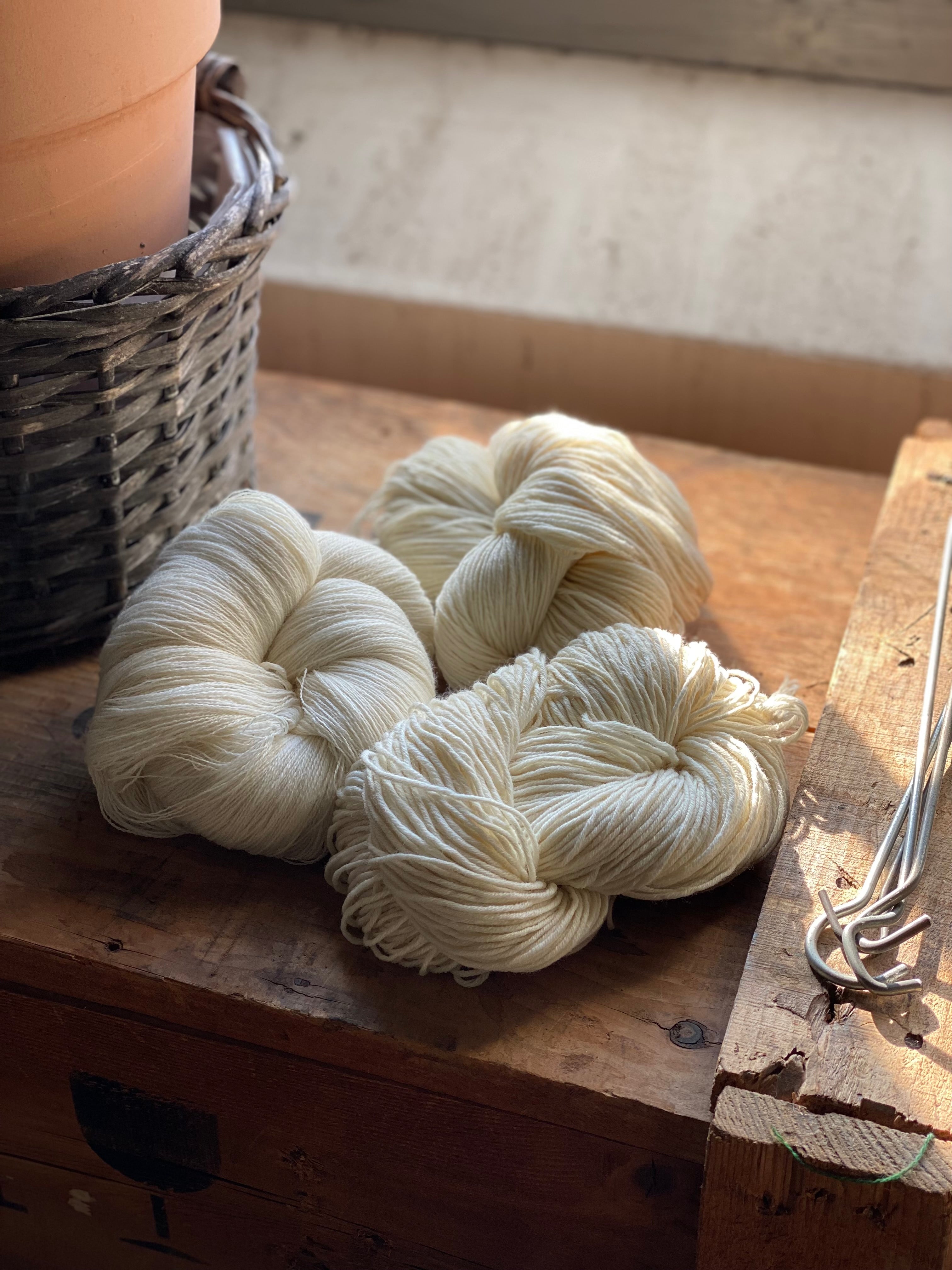 Undyed 100% Extrafine Merino Wool Yarn in Opera, Diesis, Concerto